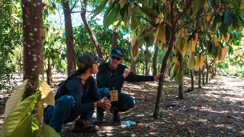 Two people sit under trees in a shaded grove, one pointing while both look at the plants.