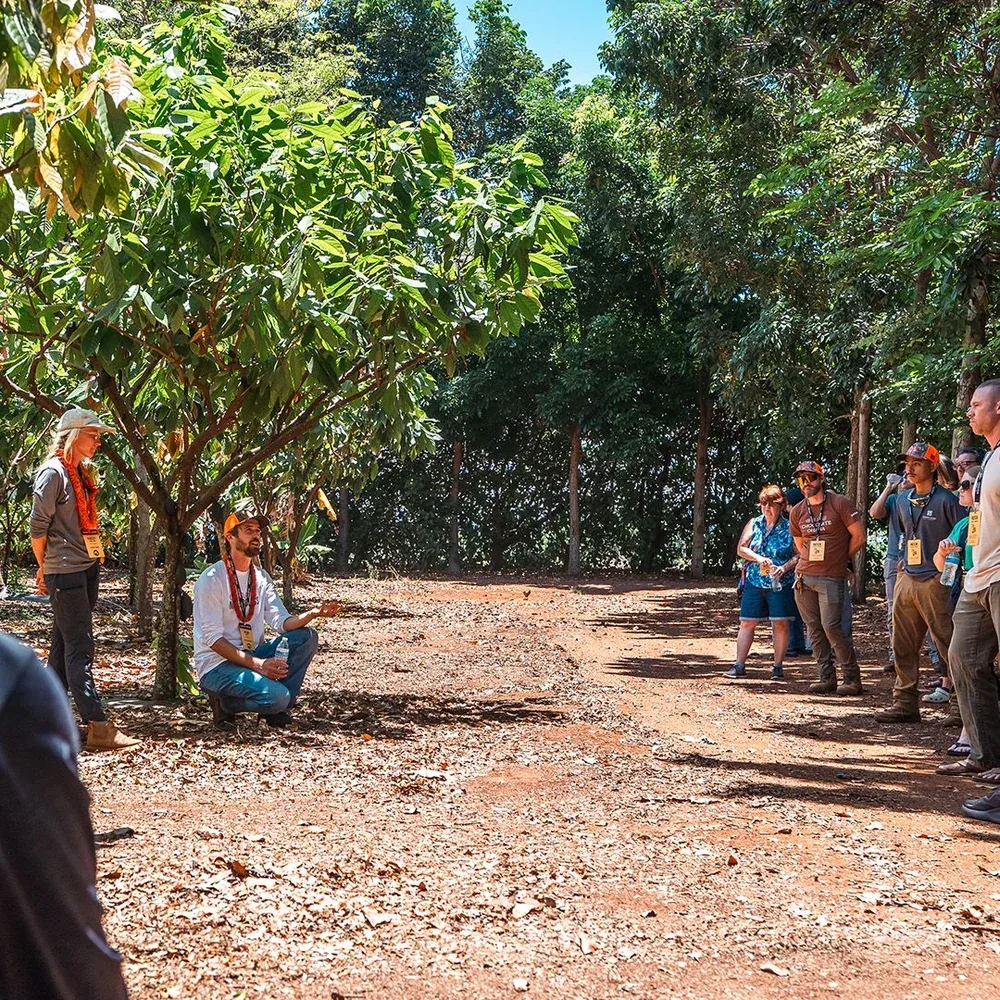 People standing on the cacao farm listening to a tour guide