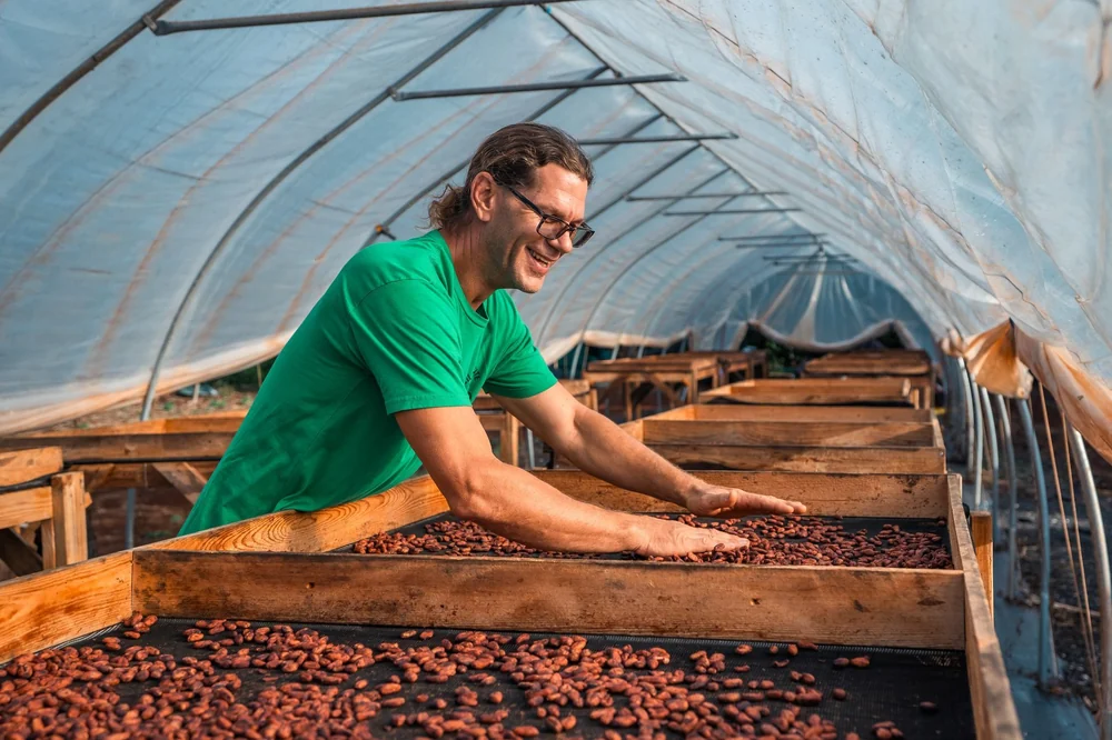 John turning cacao beans on the drying beds