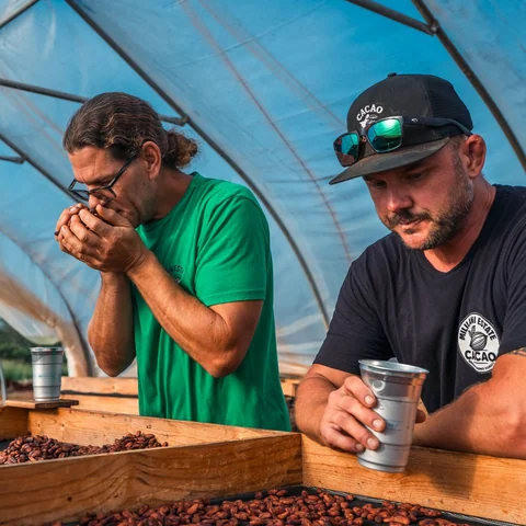 Two men inspecting coffee beans in a greenhouse